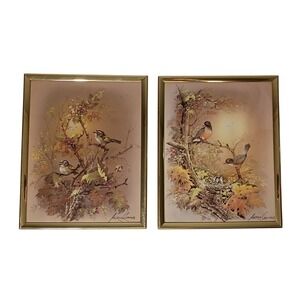 Pair of Vtg Andres Orpinas Framed Prints 8"‎ X 10" Birds MCM Cottagecore Spring